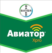 Авиатор